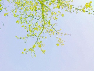 201204172944.jpg