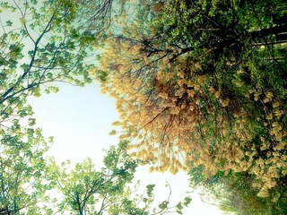 201204132923.jpg