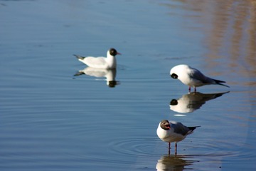 2101