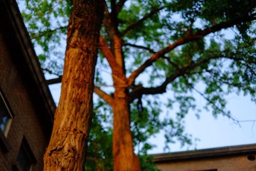 DSCF0254.JPG