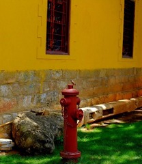 DSCF1274-11.JPG