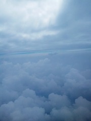 1439101
