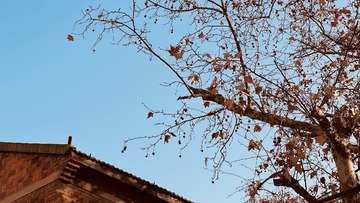 AF073054-9394-4378-A31B-3CD82AEFBBDA/L0/001