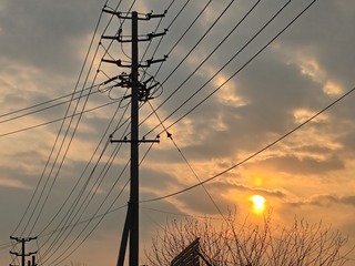 1000014168