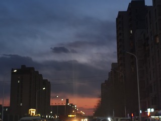 1000014241