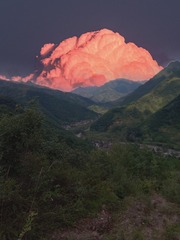 17721