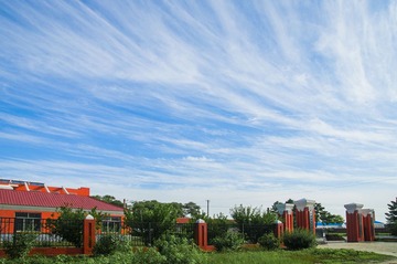 DSC_4768.jpg