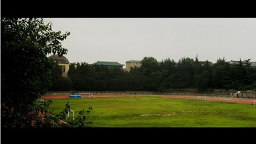 S1050915.JPG