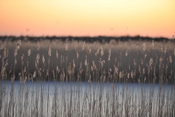 DSC_7198.jpg