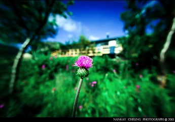 _MG_9122-编辑-3-编辑-2.jpg