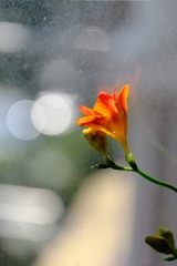 59904DA0-710B-4235-93ED-F08AEE26D9E7/L0/001