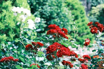 B1B6E9A5-89F5-46B8-8A9D-074D138B6C8B/L0/001