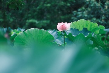 D6E9D914-95FD-4E83-8895-000A4824769A/L0/001