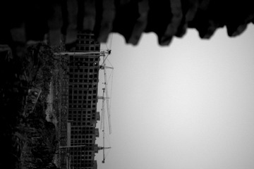 IMGP3490.JPG