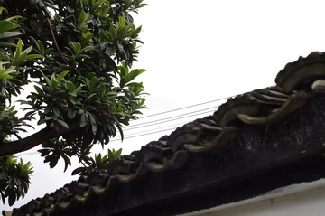 IMGP2120.JPG