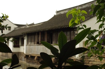 IMGP2125.JPG