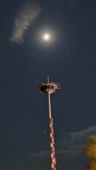 1000016632