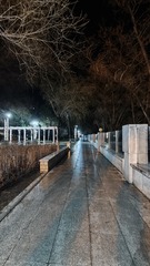 1000016368
