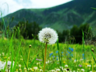 nEO_IMG_DSCN1558.jpg