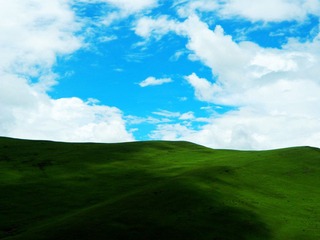 nEO_IMG_DSCN1728.jpg