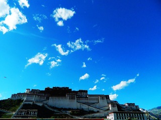 nEO_IMG_DSCN2695.jpg