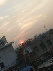 1300772