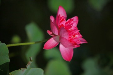IMG_5272.JPG