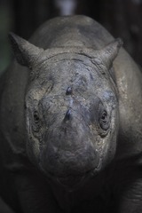 開平雕樓