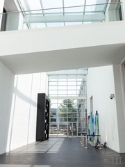 IMG_7270.jpg