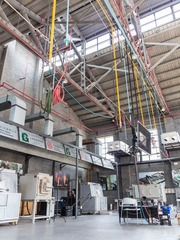 IMG_7406.jpg