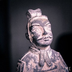 IMG_5331.jpg
