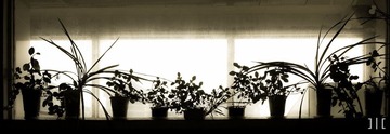 IMG_9208.jpg