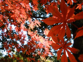 5F18DF23-72BF-45A7-8998-9B76104EB607/L0/001
