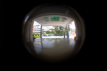 DSC03787.jpg