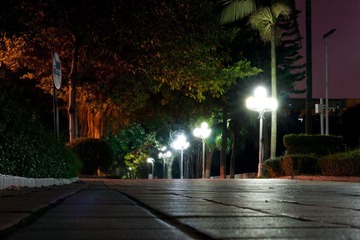 DSC04235.jpg