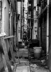 DSC00641.jpg