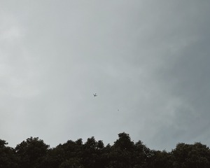 49696567-6CB0-40F4-8831-185794305F19/L0/001