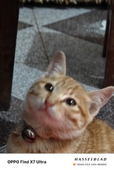 1000009045