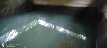 1000025437
