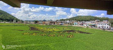 1000025247