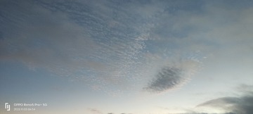 1000039592
