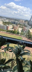 1000039221
