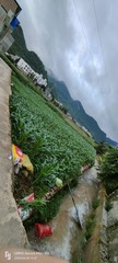 1000052980