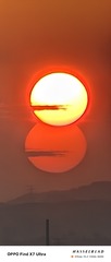 1000012561