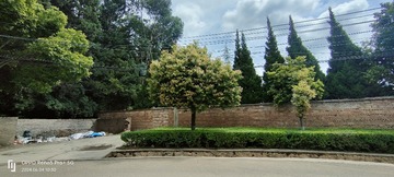 1000052802