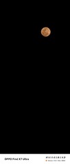 1000011077