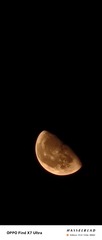 1000012626