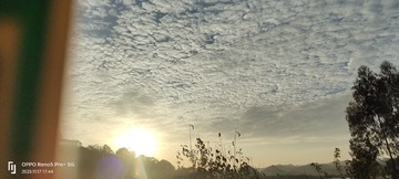 1000040940