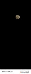 1000013774