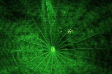 88E589F9-8F3B-4C4B-9079-A0B3B9D737A9/L0/001